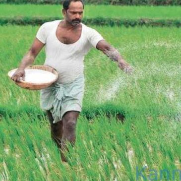 ರೈತರಿಗೆ ಸಿಹಿ ಸುದ್ದಿ..  ರಸಗೊಬ್ಬರ ಬೆಲೆ ಏರಿಕೆಗೆ ಕೇಂದ್ರ ಸರ್ಕಾರ ಬ್ರೇಕ್‌..!