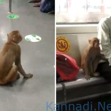 ದೆಹಲಿ ಮೆಟ್ರೊದಲ್ಲಿ ಮಂಗನ ಸವಾರಿ…! ಯಾರಿಗೂ ಹಾನಿಮಾಡದ ಕೋತಿ..ವಿಡಿಯೋ ವೈರಲ್‌