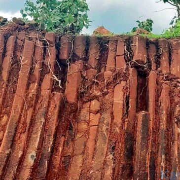 6 ಕೋಟಿ ವರ್ಷಗಳ ಹಿಂದೆ ರೂಪುಗೊಂಡ ಅಪರೂಪದ ಬಸಾಲ್ಟ್ ರಾಕ್ ಕಾಲಂ ಮಹಾರಾಷ್ಟ್ರದ ಯವತ್ಮಾಲಿನಲ್ಲಿ ಪತ್ತೆ