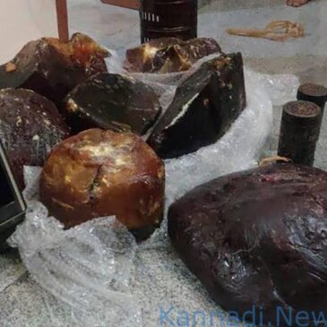 ಅಂತಾರಾಷ್ಟ್ರೀಯ ಮಾರುಕಟ್ಟೆಯಲ್ಲಿ 80 ಕೋಟಿ ರೂ. ಮೌಲ್ಯದ ಅಂಬರ್​​​ಗ್ರೀಸ್​ ಪತ್ತೆ ಹಚ್ಚಿದ ಪೊಲೀಸರು, ಐವರ ಬಂಧನ