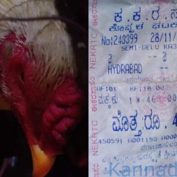 ಕೋಳಿಗೆ ಅರ್ಧ ಟಿಕೆಟ್ ದರ ಕೊಟ್ಟು ಹೈದರಾಬಾದ್​ನಿಂದ ಗಂಗಾವತಿಗೆ ಪ್ರಯಾಣಿಸಿದ ವ್ಯಕ್ತಿ..!