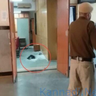 ದೆಹಲಿ: ರೋಹಿಣಿ ನ್ಯಾಯಾಲಯದಲ್ಲಿ ಸ್ಫೋಟ, ಓರ್ವನಿಗೆ ಗಾಯ; ಕಲಾಪ ಸ್ಥಗಿತ