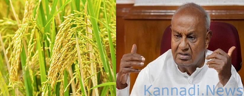 ಪಂಜಾಬಿನಲ್ಲಿ ಭತ್ತದ ತಳಿಯೊಂದಕ್ಕೆ ದೇವೇಗೌಡರ ಹೆಸರು: ರೈತರಿಂದ ಮಾಜಿ ಪ್ರಧಾನಿಗೆ ವಿಶೇಷ ಗೌರವ