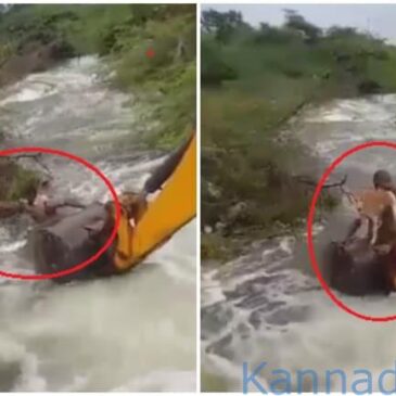 ತನ್ನ ಪ್ರಾಣ ಪಣಕ್ಕಿಟ್ಟು ಉಕ್ಕಿ ಹರಿಯುತ್ತಿರುವ ಹೊಳೆಯಲ್ಲಿ ಸಿಲುಕಿದ್ದ ನಾಯಿ ರಕ್ಷಿಸಿದ ಹೋಮ್ ಗಾರ್ಡ್..ದೃಶ್ಯ ವಿಡಿಯೊದಲ್ಲಿ ಸೆರೆ