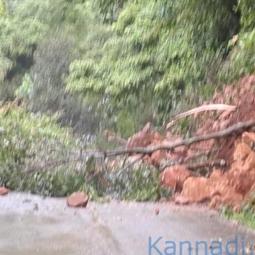 ಕಾರವಾರ: ಅಣಶಿ ಘಟ್ಟದಲ್ಲಿ ಗುಡ್ಡ ಕುಸಿತ,  ವಾಹನ ಸಂಚಾರ ಸ್ಥಗಿತ