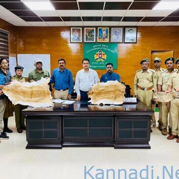 ಕೃಷ್ಣ ಮೃಗ ಚರ್ಮ ಮಾರಾಟದ ಬೃಹತ್ ಜಾಲ ಭೇದಿಸಿದ ಬೆಳಗಾವಿ ಅರಣ್ಯ ಸಂಚಾರಿದಳ