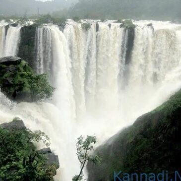 ಇದು ನಯಾಗರ ಜಲಪಾತವಲ್ಲ…ಇದು ಕರ್ನಾಟಕದ ಜೋಗ ಜಲಪಾತದ ಬೆರಗುಗೊಳಿಸುವ ಮಳೆಗಾಲದ ದೃಶ್ಯ ವೈಭವ | ವೀಕ್ಷಿಸಿ