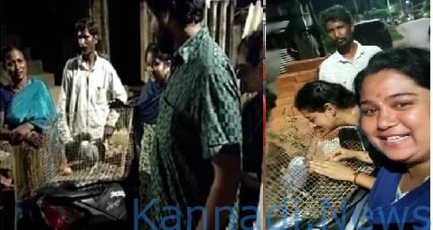 ತುಮಕೂರು: ನಾಪತ್ತೆಯಾಗಿ ವಾರದ ಬಳಿಕ ಮರಳಿ ಮನೆ ಸೇರಿದ ಗಿಳಿ, 85 ಸಾವಿರ ರೂ. ಬಹುಮಾನ ನೀಡಿದ ಕುಟುಂಬ…!