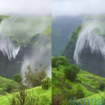 ಮಹಾರಾಷ್ಟ್ರದ ಜಲಪಾತದಲ್ಲಿ ನೀರು ಕೆಳಗೆ ಬೀಳುವ ಬದಲು ಮೇಲಕ್ಕೆ ಹೋಗುತ್ತಿದೆ: ಈ ದೃಶ್ಯಕ್ಕೆ ಇಂಟರ್ನೆಟ್ ಮಂತ್ರಮುಗ್ಧ | ವೀಕ್ಷಿಸಿ