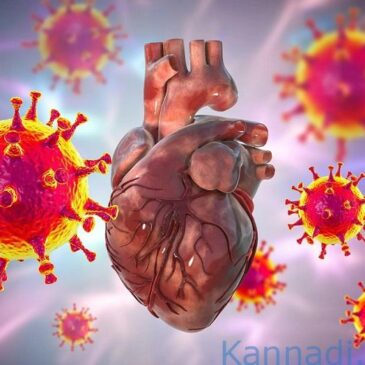 ಕೋವಿಡ್-19ಕ್ಕೂ ಹೆಚ್ಚುತ್ತಿರುವ ಹೃದಯಾಘಾತಕ್ಕೂ ಸಂಬಂಧವಿದೆಯೇ…ಈ ಬಗ್ಗೆ ಕೇಂದ್ರ ಆರೋಗ್ಯ ಸಚಿವರು ಹೇಳಿದ್ದೇನು..?
