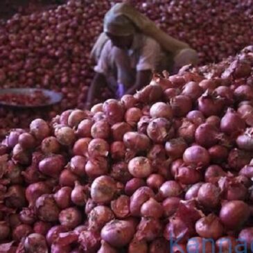 ಬೆಲೆ ಏರಿಕೆ ಹಿನ್ನೆಲೆ : ಈರುಳ್ಳಿ ರಫ್ತಿನ ಮೇಲೆ 40%ರಷ್ಟು ಸುಂಕ ವಿಧಿಸಿದ ಸರ್ಕಾರ