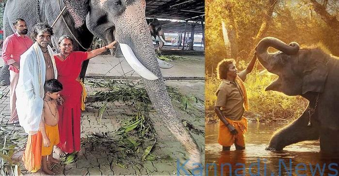 2 ಕೋಟಿ ರೂ. ಪರಿಹಾರ ಕೋರಿ ʼಎಲಿಫೆಂಟ್ ವಿಸ್ಪರರ್ಸ್’ ನಿರ್ದೇಶಕಿಗೆ ಲೀಗಲ್ ನೋಟಿಸ್ ಕಳುಹಿಸಿದ ಬೆಳ್ಳಿ-ಬೊಮ್ಮನ್ ಮಾವುತ ದಂಪತಿ