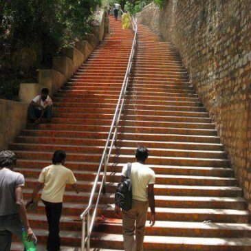 ತಿರುಪತಿ ಭಕ್ತರ ಸುರಕ್ಷತೆಗೆ ಕ್ರಮ: ಪಾದಚಾರಿ ಮಾರ್ಗದಲ್ಲಿ ತೆರಳುವ ಭಕ್ತರ ಕೈಗೆ ಇನ್ಮುಂದೆ ಕೊಡ್ತಾರೆ ದೊಣ್ಣೆ …