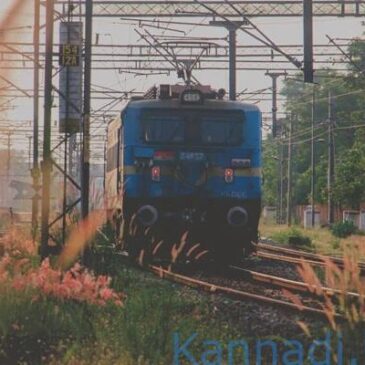 ಹಳಿಗಳ ಮೇಲೆ ವೀಡಿಯೊ ಚಿತ್ರೀಕರಣ ಮಾಡುವಾಗ ರೈಲು ಡಿಕ್ಕಿ ಹೊಡೆದು ಮೂವರು ಸಾವು