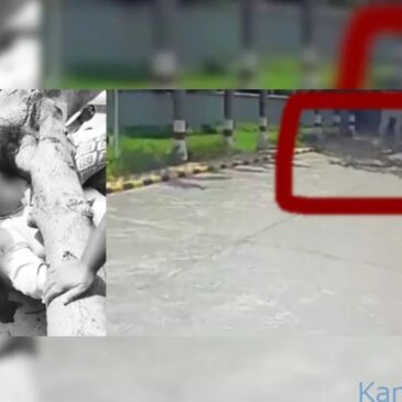 ಶಾಕಿಂಗ್‌ ವೀಡಿಯೊ..| ಆಸ್ಪತ್ರೆ ಆವರಣದಲ್ಲಿ ಬೈಕಿನಲ್ಲಿ ಹೋಗುತ್ತಿದ್ದ ದಂಪತಿ ಮೇಲೆ ಮರ ಬಿದ್ದು ಪತಿ ಸಾವು, ಪತ್ನಿಗೆ ಗಾಯ