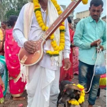 ಪಂಢರಪುರದಲ್ಲಿ ತಪ್ಪಿಸಿಕೊಂಡ ನಂತರ ಮಾಲೀಕನನ್ನು ಹುಡುಕುತ್ತ 200 ಕಿಮೀ ನಡೆದು ಮರಳಿ ಮನೆಗೆ ಬಂದ ನಾಯಿ…!