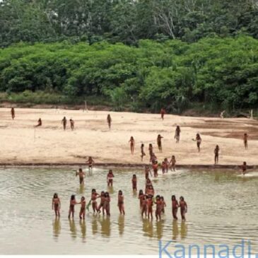 ವೀಡಿಯೊ | ನಾಗರಿಕ ಸಂಪರ್ಕವೇ ಇಲ್ಲದ, ಕಣ್ಣಿಗೇ ಕಾಣಿಸಿಕೊಳ್ಳದ ವಿಶ್ವದ ಅತಿದೊಡ್ಡ ಬುಡಕಟ್ಟು ಜನಾಂಗದ ಅಪರೂಪದ ದೃಶ್ಯ ಕ್ಯಾಮರಾದಲ್ಲಿ ಸೆರೆ