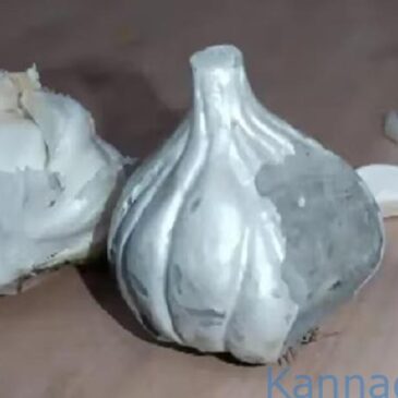 ನಕಲಿ ಬೆಳ್ಳುಳ್ಳಿ | ಇರಲಿ ಎಚ್ಚರ… ಮಾರುಕಟ್ಟೆಗೆ ಬಂದಿದೆ ಸಿಮೆಂಟ್ ಬೆಳ್ಳುಳ್ಳಿ ; ವೀಡಿಯೊ ನೋಡಿದ್ರೆ ದಂಗಾಗ್ತೀರಾ…!