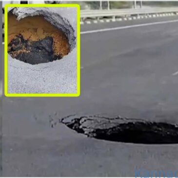 ದೆಹಲಿ- ಮುಂಬಯಿ ಎಕ್ಸ್‌ ಪ್ರೆಸ್‌ ವೇನಲ್ಲಿ ಗುಂಡಿಗಳಾಗಲು ʼಇಲಿʼಗಳು ಕಾರಣ ಎಂದ ನೌಕರ…! ಕೆಲಸದಿಂದ ವಜಾ ಮಾಡಿದ ಕಂಪನಿ