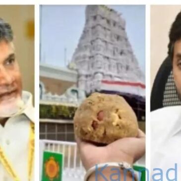 ಹಿಂದಿನ ಜಗನ್ ಸರ್ಕಾರ ಆಡಳಿತದಲ್ಲಿ ತಿರುಪತಿ ಲಡ್ಡಿಗೆ ಪ್ರಾಣಿಗಳ ಕೊಬ್ಬನ್ನು ಬಳಸಲಾಗಿತ್ತು ; ಚಂದ್ರಬಾಬು ನಾಯ್ಡು ಗಂಭೀರ ಆರೋಪ