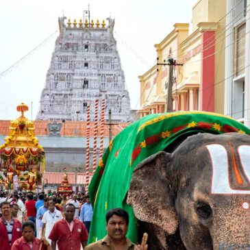 ತಿರುಪತಿ ದೇವಸ್ಥಾನದ ಆಡಳಿತ ಮಂಡಳಿಯಲ್ಲಿ ನಡೆದಿರುವ ಅಕ್ರಮಗಳ ತನಿಖೆಗೆ ವಿಶೇಷ ತನಿಖಾ ತಂಡ