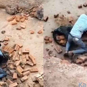 ಇಟ್ಟಿಗೆ ಗೂಡಿನಲ್ಲಿ ಕಪ್ಪು ಚಿರತೆ ಜೊತೆ ಸೆಣಸಾಡಿ ಅದನ್ನೇ ನಿಗ್ರಹಿಸಿದ ಯುವಕ..! ದೃಶ್ಯ ವೀಡಿಯೊದಲ್ಲಿ ಸೆರೆ-ವೀಕ್ಷಿಸಿ
