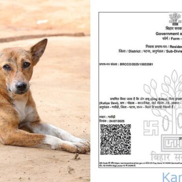 ಬಿಹಾರ ಚುನಾವಣೆ 2025 ; ‘ಕುತ್ತಾ ಬಾಬು’ವಿನ ಪುತ್ರ ʼಡಾಗ್ ಬಾಬು’ ಎಂಬ ನಾಯಿಗೂ ನಿವಾಸಿ ಪ್ರಮಾಣ ಪತ್ರ ನೀಡಿದ್ದು ಬೆಳಕಿಗೆ..!