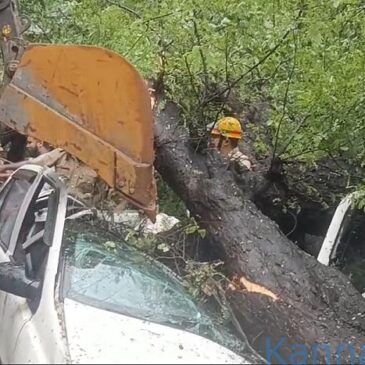 ಕಾರವಾರ: ಕಾರಿನ ಮೇಲೆ ಮರ ಬಿದ್ದು ಮಹಿಳೆ ಸಾವು