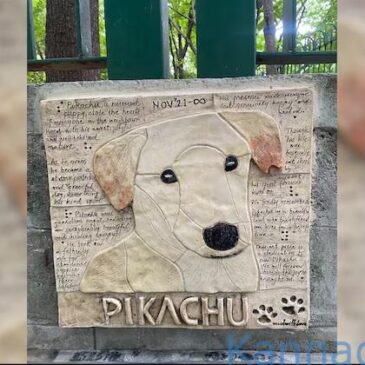 ಬೀದಿ ನಾಯಿ ʼಪಿಕಾಚುʼ ಗೌರವಾರ್ಥ ಹೃದಯಸ್ಪರ್ಶಿ ಭಿತ್ತಿಚಿತ್ರ ಕೆತ್ತಿಸಿದ ಬೆಂಗಳೂರು ನಿವಾಸಿಗಳು…!