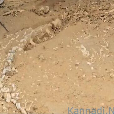 ವೀಡಿಯೊ…| ಜೈಸಲ್ಮೇರಿನಲ್ಲಿ 21 ಕೋಟಿ ವರ್ಷಗಳಷ್ಟು ಜುರಾಸಿಕ್ ಯುಗದ ಹಳೆಯ ಪಳೆಯುಳಿಕೆಗಳು ಪತ್ತೆ…!