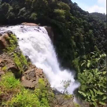 ಯಲ್ಲಾಪುರ : ಕಾನೂರು ಜಲಪಾತದಲ್ಲಿ ವಿದ್ಯಾರ್ಥಿ ನಾಪತ್ತೆ