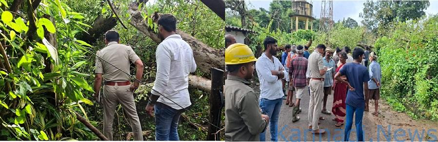 ಯಲ್ಲಾಪುರ : ಕಿರವತ್ತಿ ಬಳಿ ಮರಬಿದ್ದು ಗರ್ಭಿಣಿ ಮಹಿಳೆ ಸಾವು, ನಾಲ್ವರು ಮಕ್ಕಳಿಗೆ ಗಾಯ