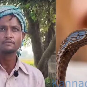 ತನ್ನ ಪತ್ನಿ ರಾತ್ರಿಯಲ್ಲಿ ಹಾವಾಗಿ ಬದಲಾಗ್ತಾಳೆ….ಕಚ್ಚುತ್ತಾಳೆ…: ಜಿಲ್ಲಾಧಿಕಾರಿಗೆ ದೂರು ನೀಡಿದ ಗಂಡ, ರಕ್ಷಣೆಗೆ ಮೊರೆ