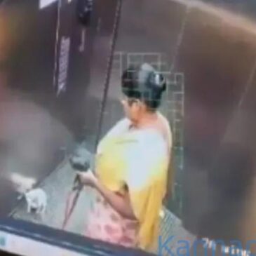 ಬೆಂಗಳೂರು : ಅಪಾರ್ಟ್‌ಮೆಂಟ್ ಲಿಫ್ಟ್‌ನಲ್ಲಿ ಸಾಕು ನಾಯಿಯನ್ನು ನೆಲಕ್ಕೆ ಬಡಿದು ಕೊಂದ ಮನೆಕೆಲಸದವಳು…!