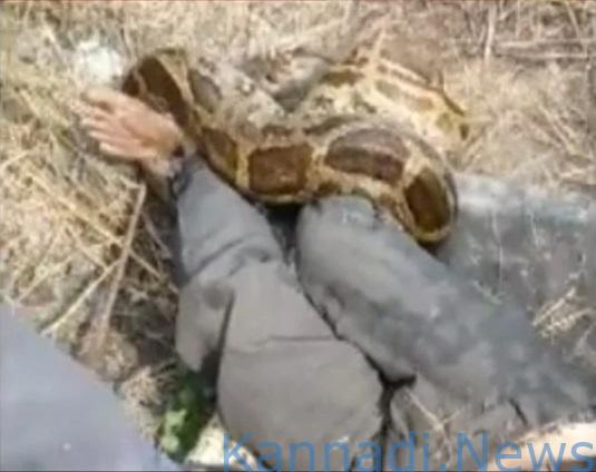 Akbar Python Attack ವೀಡಿಯೊ...| ನೀರಿನ ಪೈಪ್ ದುರಸ್ತಿಗೆ ಬಂದ ಕಾರ್ಮಿಕನ ಮೇಲೆ ಹೆಬ್ಬಾವು ದಾಳಿ: 10 ...