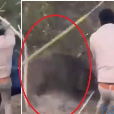 ಮೈ ಜುಂ ಎನ್ನುವ ವೀಡಿಯೊ..| ಅರಣ್ಯ ಸಿಬ್ಬಂದಿ ಮೇಲೆ ಕಾಡುಹಂದಿ ಭೀಕರ ದಾಳಿ ;  ಗಂಭೀರ ಗಾಯ