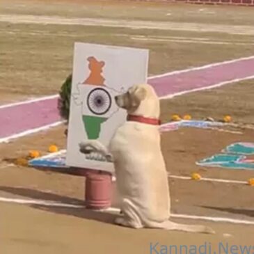 77ನೇ ಗಣರಾಜ್ಯೋತ್ಸವದ ಸಂಭ್ರಮದ ನಡುವೆ ಮನಗೆದ್ದ ಶ್ವಾನದ ದೇಶಪ್ರೇಮ : ವೀಡಿಯೊ ವೈರಲ್