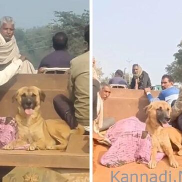 ಅಪ್ರತಿಮ ನಿಷ್ಠೆ | ಆಹಾರ-ನೀರು ತ್ಯಜಿಸಿ ಕೊನೆಯವರೆಗೂ ಮಾಲೀಕನ ಶವ ಬಿಟ್ಟು ಕದಲದ ನಾಯಿ : ದೇಹ ಹಿಂಬಾಲಿಸಿ 4 ಕಿಮೀ ಓಟ !