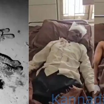 ಮಗನನ್ನು ರಕ್ಷಿಸಲು ಕುಡಗೋಲಿನಿಂದ ಚಿರತೆಯನ್ನೇ ಬಡಿದು ಕೊಂದ 60 ವರ್ಷದ ವೃದ್ಧ…!