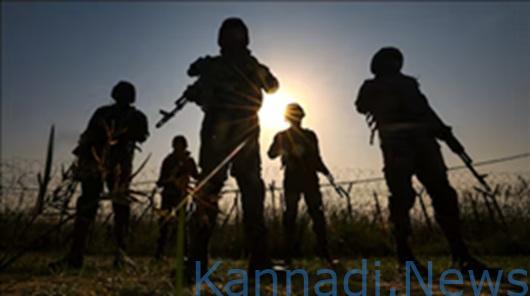ಜಮ್ಮು-ಕಾಶ್ಮೀರ: ಗಡಿ ನಿಯಂತ್ರಣ ರೇಖೆ ಬಳಿ ಪಾಕಿಸ್ತಾನಿ ಡ್ರೋನ್‌ಗಳ ಮೇಲೆ ಸೇನೆಯಿಂದ ಗುಂಡಿನ ದಾಳಿ