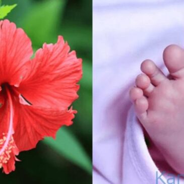 ಹುಣಸೂರು : ದಾಸವಾಳ ಹೂವು ನುಂಗಿ ಆರೂವರೆ ತಿಂಗಳ ಮಗು ಸಾವು
