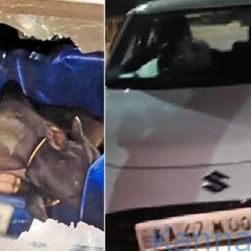 ಭಟ್ಕಳ : ಗೋವು ಕಳ್ಳತನ ವಿಫಲಗೊಳಿಸಿದ ಸಾರ್ವಜನಿಕರು ; ಕಾರು ಬಿಟ್ಟು ಪರಾರಿಯಾದ ಕಳ್ಳರು..