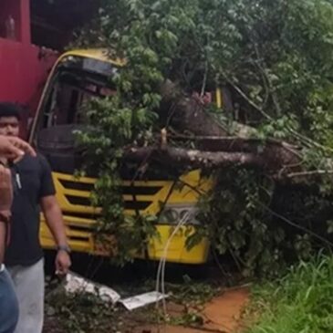 ಬಂಟ್ವಾಳ | ಶಾಲಾ ಬಸ್ ಮೇಲೆ ಮರ ಬಿದ್ದು ಯುಕೆಜಿ ಬಾಲಕಿ ಸಾವು; ಕೆಲವರಿಗೆ ಗಾಯ