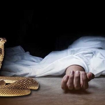 ಮೊದಲು ಹಾಲಿನಲ್ಲಿ ನಿದ್ದೆ ಮಾತ್ರೆ…ನಂತರ ಹಾಸಿಗೆ ಮೇಲೆ ವಿಷದ ಹಾವು ! ಗಂಡನ ಕೊಲೆಗೆ ಪತ್ನಿಯ ಭಯಾನಕ ಸಂಚು…!