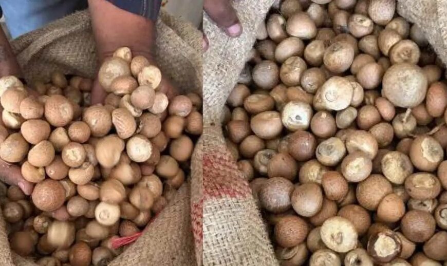 ಬಾಂಗ್ಲಾದೇಶದ ಹೆಸರಲ್ಲಿ ವಿದೇಶಿ ಅಡಕೆ ಅಕ್ರಮ ಆಮದು ಪತ್ತೆ ; ₹2500 ಕೋಟಿ…