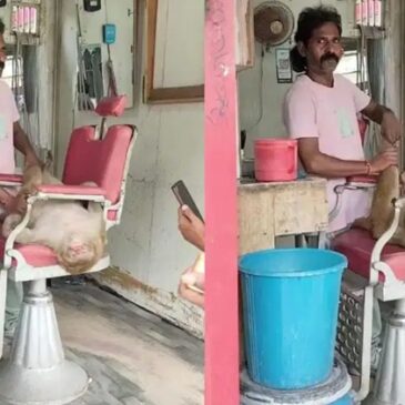 ಸಲೂನ್‌ಗೆ  ತೆರಳಿ ಮಸಾಜ್ ಮಾಡಿಸಿಕೊಂಡ ಮಂಗ ; ವಿಡಿಯೋ ವೈರಲ್‌