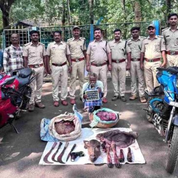 ಕಡವೆ ಬೇಟೆ : ಅರಣ್ಯಾಧಿಕಾರಿ ಸಿಬ್ಬಂದಿ ದಾಳಿ; ಒಬ್ಬನ ಬಂಧನ, ಐವರು ಪರಾರಿ