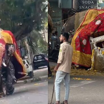 ವಿಡಿಯೊಗಳು | ಶಿವಮೊಗ್ಗ ದಸರಾ ಜಂಬೂ ಸವಾರಿ ವೇಳೆ ದಿಕ್ಕಾಪಾಲಾಗಿ ಓಡಿದ ಅಂಬಾರಿ ಹೊತ್ತ ಆನೆ ; ಬೆಳ್ಳಿ ಅಂಬಾರಿ ಕೆಳಕ್ಕೆ, ವಾಹನ ಜಖಂ
