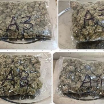 ಬೆಂಗಳೂರಿನ ವಿಮಾನ ನಿಲ್ದಾಣದಲ್ಲಿ ₹9.67 ಕೋಟಿ ಮೌಲ್ಯದ ಹೈಡ್ರೋಪೋನಿಕ್ ಗಾಂಜಾ ವಶ; ಇಬ್ಬರು ಪ್ರಯಾಣಿಕರ ಬಂಧನ